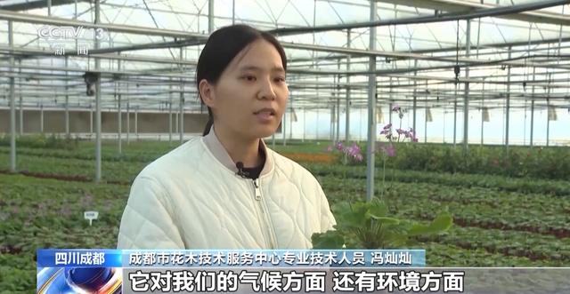 “300米见绿，500米见园” 成都打造长效发展“千园之城”