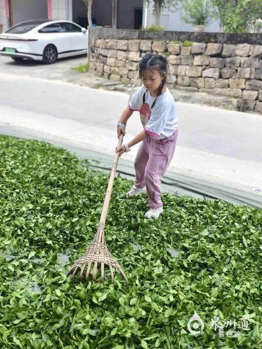 巨出片！趁现在，来泉州追一场秋……
