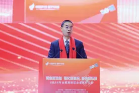 合肥高新区举行2024年企业表彰大会图片