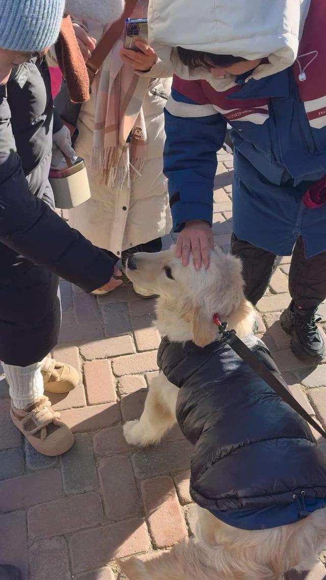 追求速度亦不忘慢生活 张家口将打造全国最大户外亲子娱雪乐园
