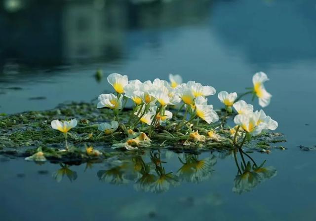 成立70周年!今天,用50图带你走进魅力瑶山