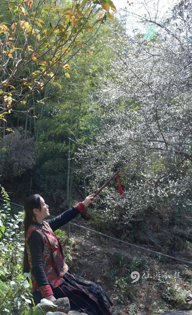 错过了等明年，仙游冬日浪漫已上线！打卡去！