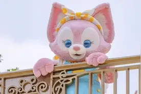 揭秘主题乐园的“魔法经济学”图片