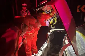 暗夜出击！贺兰山打响野生蝎子“保卫战”图片