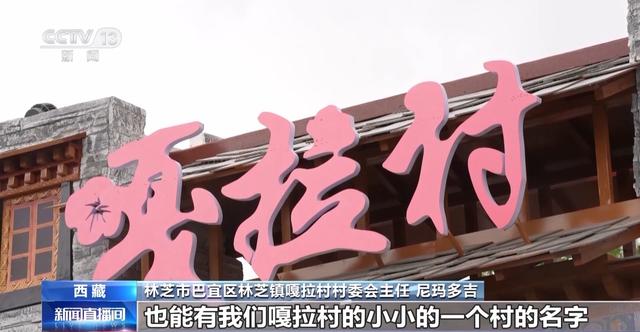 幸福拉萨、红色昌都、天上阿里……庆祝大会游行彩车背后记录着什么