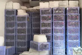 荔枝批发单价低至个位数，果批市场整车卖，商户：价格大跳水，问价拿货的客户越来越多图片