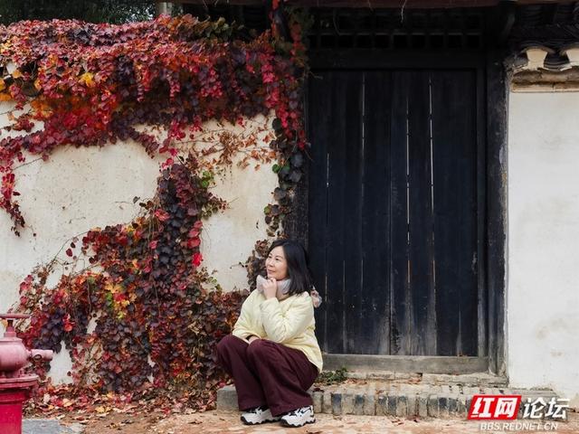 秋游时刻丨漫步周立波故居，拾起一枚秋的私语