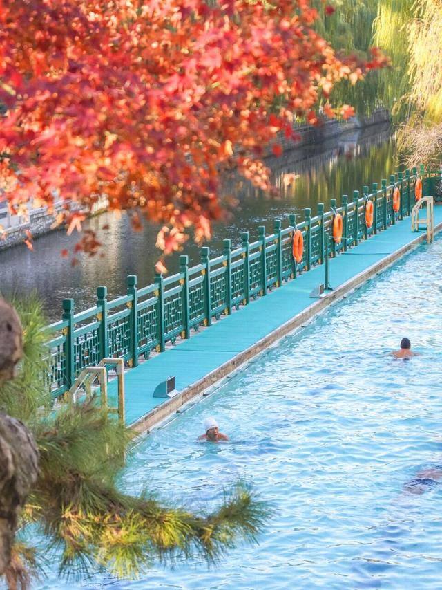 当课文回归现实，老舍笔下《济南的冬天》到底是什么样子的?（一）