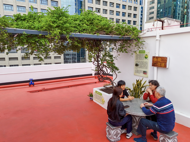 广州越秀：红砖墙守护历史 老骑楼中医飘香