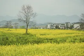 从“游走”到“入乡”：杭州之江数字游民创想地正式揭幕图片