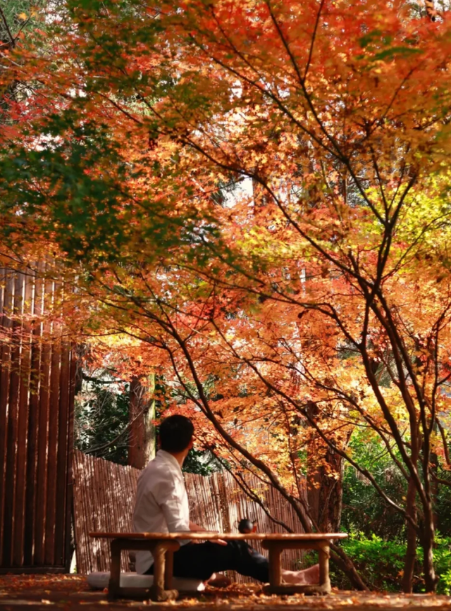 跟着赛事游昆明｜美出新高度！昆明周边绝美私汤攻略来了