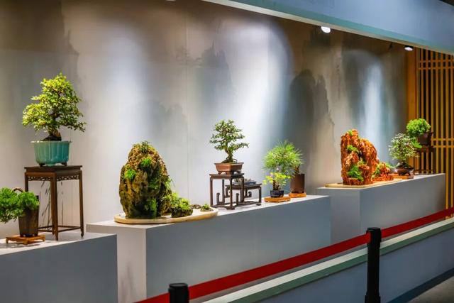 缤纷花事扮靓金秋！国家植物园假期游园攻略来啦