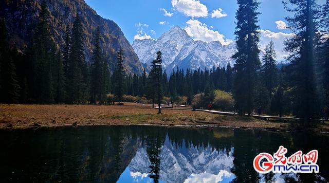 美丽中国｜秋染王朗：雪山与彩林同框