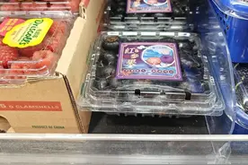 蔓越莓火到“爆单”！这些小众宝藏水果你吃过几种？图片