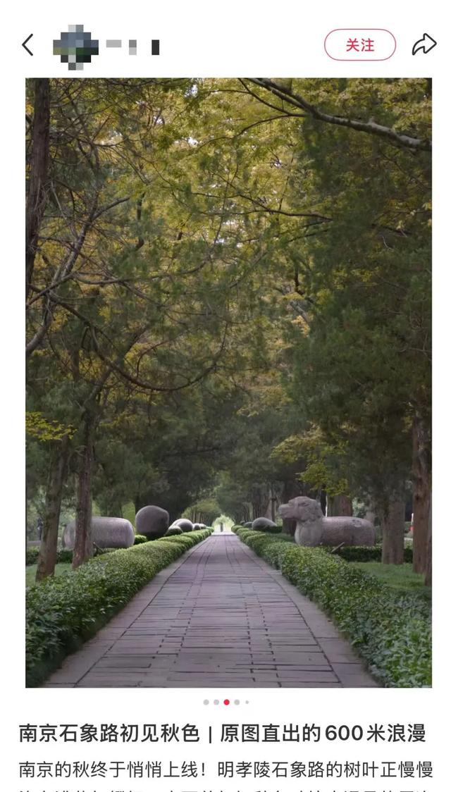 南京石象路秋日限定正式上线
