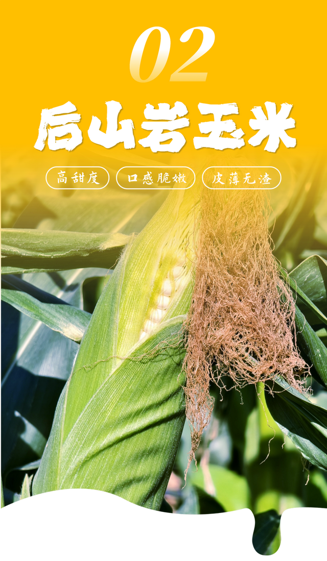 平时不出门，但如果是翔安的果蔬熟了，那我得跑着去！