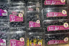 蓝莓熟了，价格跌了！每斤40至80元，预计价格还会继续降图片