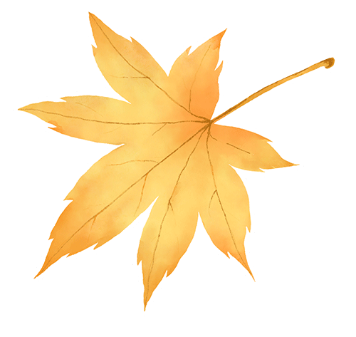 对对对！在山里喝咖啡就去那个地方！