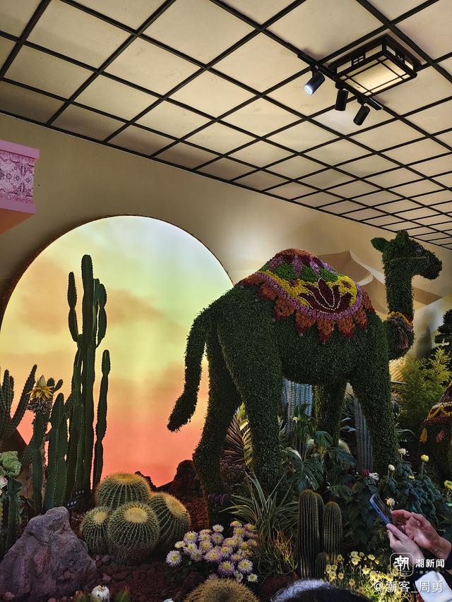 晚潮｜秋丛绕舍似陶家