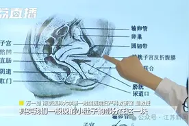 女生的小肚子保护子宫卵巢？真相扎心……图片