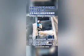 安徽宿松云梦泽公司粗暴驱离垂钓者，却有渔船在湖里放地笼捕捞？当地回应图片