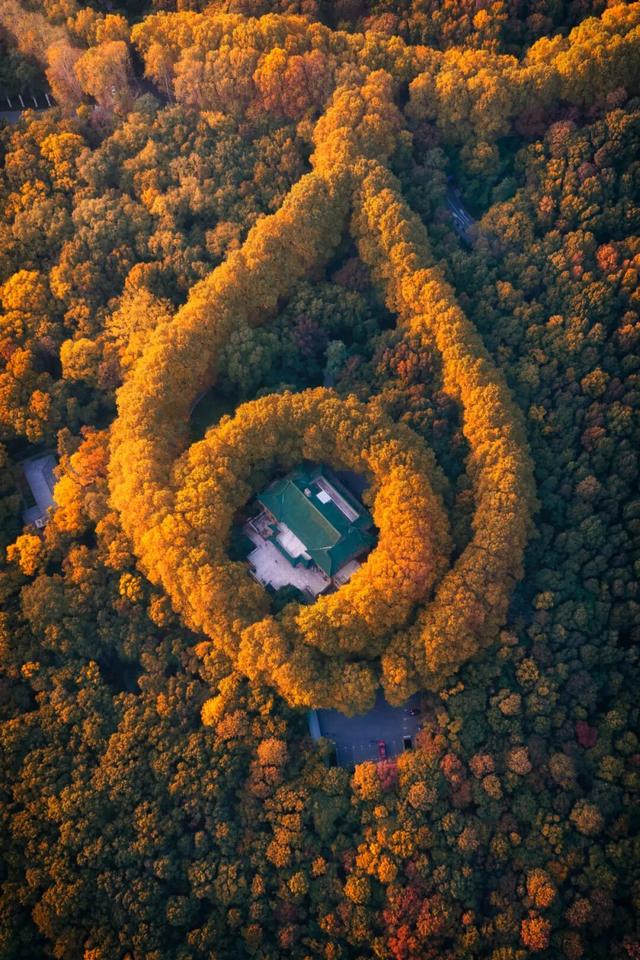 11月最应该去哪里旅行？