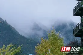 雾气缭绕的大自然，仿佛进入虚无缥缈的“人间仙境”图片