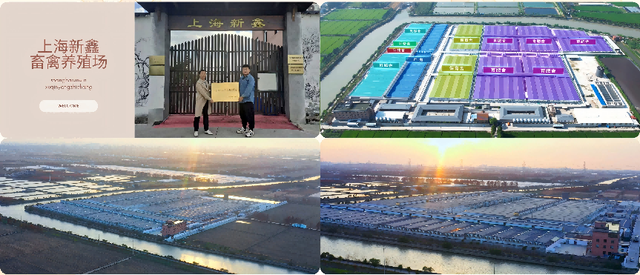 别错过新浜！采摘+黑猪肉+松江大米，这条宝藏路线承包你的田园周末！