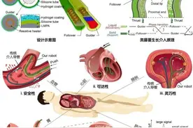 仿藤蔓连续体机器人 哈工大助力腔内介入手术精准安全图片