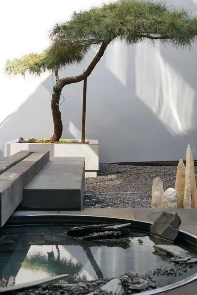 免费大放送，100间熊猫家园主题民宿酒店房间来袭