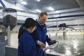 东海之水养出大西洋鲑鱼 外资看好中国高端食材市场图片