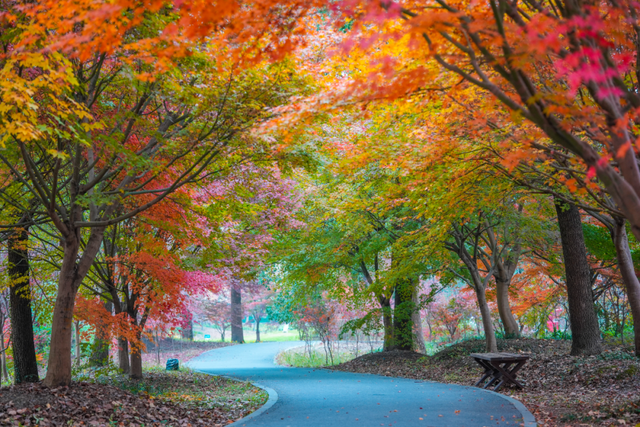 金山人宣布！这条宝藏线路将是“上海旅超”秋冬名场面!