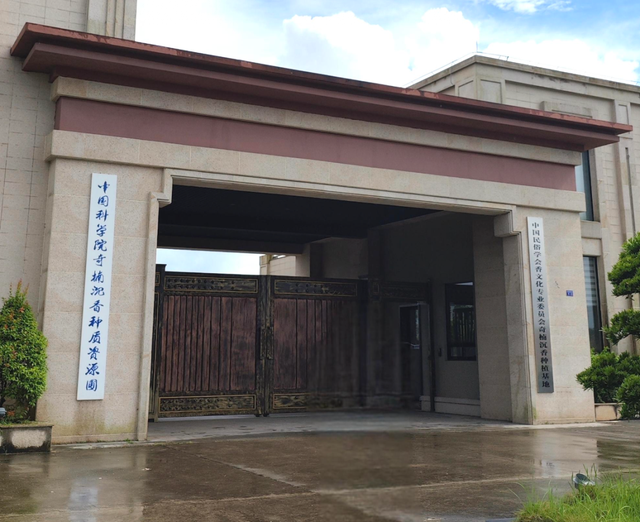 真不懂	，为啥现在的明星和有钱人都偏爱这个“烂木头”？