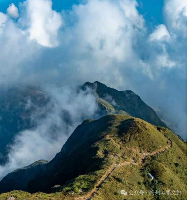 又火了！丰顺铜鼓峰“四大”景观，到底有多美？