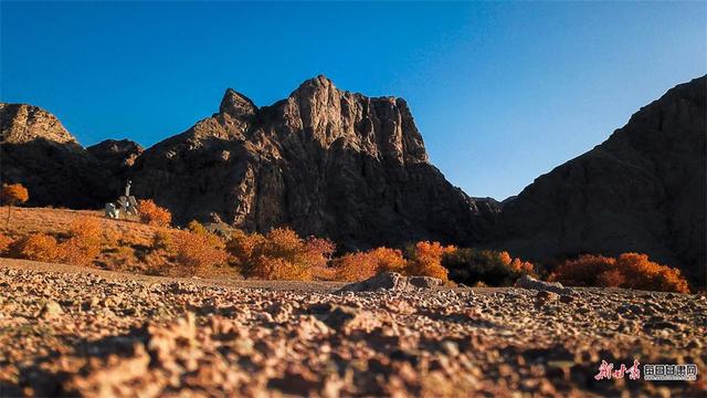 敦煌：秋染悬泉谷 胡杨绘画卷