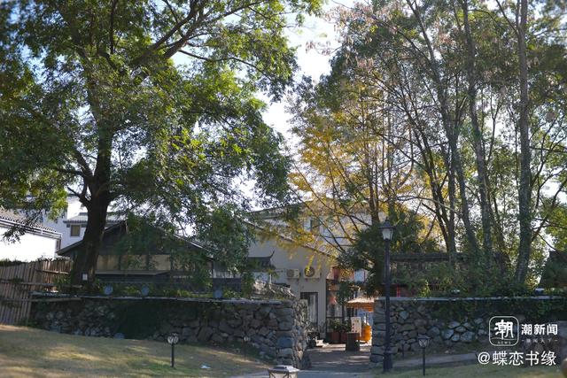 晚潮｜山水间的长寿密码