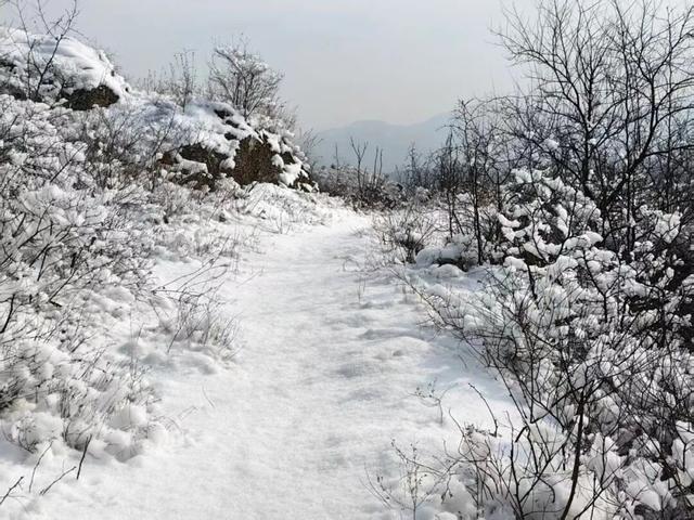 这是2026年昌平的第一场雪！