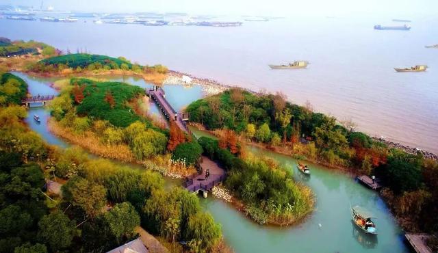 周末到吴淞炮台湾公园，解锁秋日新玩法~