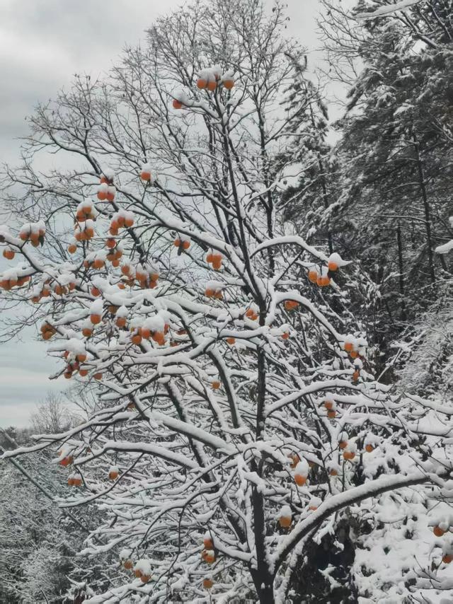 陈仓:被风吹过的地方