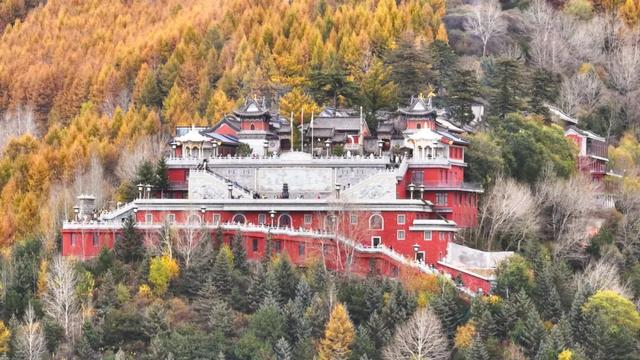 金秋五台山 醉美山色入画来