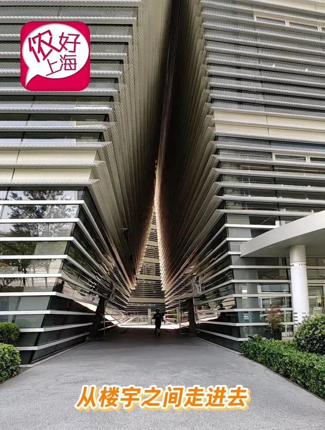 大厂干饭香不香？阿里上海总部食堂对外开放！好不好吃？怎么去吃？