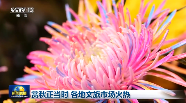 央媒聚焦开封！