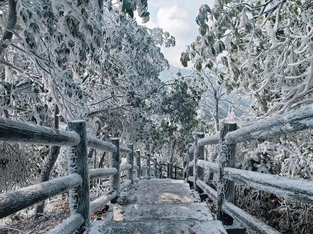 秋冬游资源！雾凇染丹霞，油茶暖红韵，这趟桂北秘境之旅很治愈