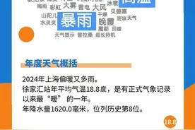 2024哪些天气瞬间让你印象深刻？2025上海温暖开局！图片