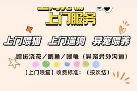 “这个春节宠托师收入2万”冲上热搜 专家：相关证书还需甄别图片