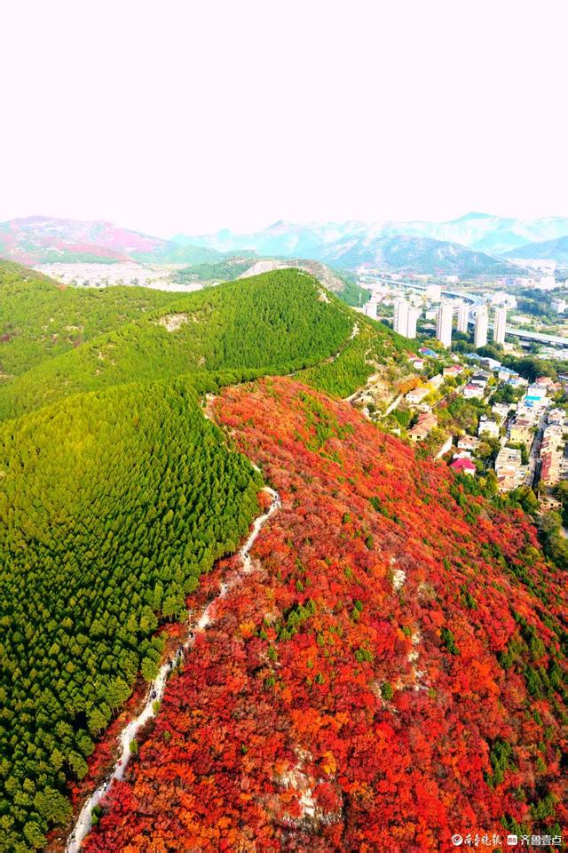 济南蝎子山，深秋 “鸳鸯火锅”景如画
