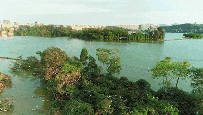 火爆全网！“活力大湾区，魅力新肇庆”！听我的，就这样宣传→