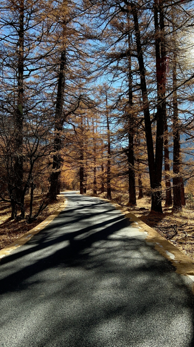 甘孜从0°到100°，每一“度”都好玩～