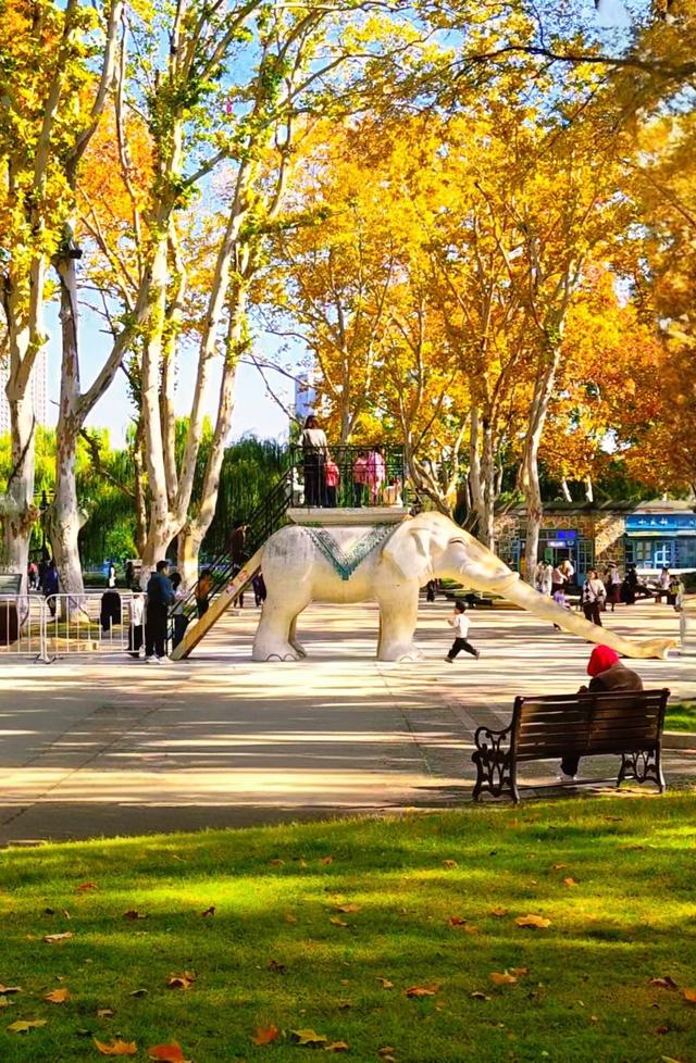 合肥的冬，正把限定浪漫写进倒计时里