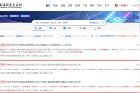 柳州城投收到上交所纪律处分决定书图片